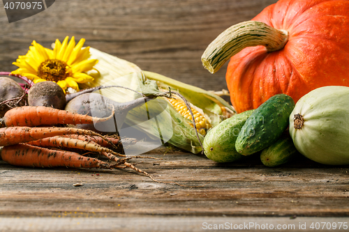 Image of Various rustic vegetables