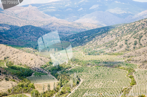 Image of Beautiful landscape with hills covered by trees and agricultural fields