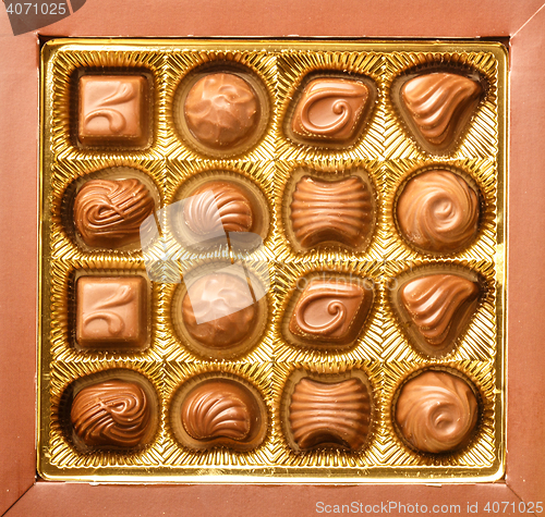 Image of Variety Chocolate Pralines