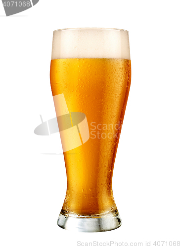 Image of Glass of beer isolated