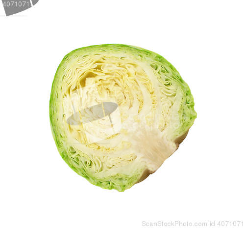 Image of cabbage isolated on white