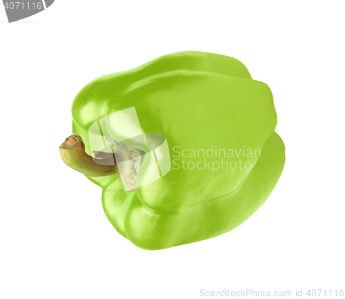 Image of green pepper on white background