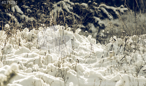 Image of White Wintry Wonderland