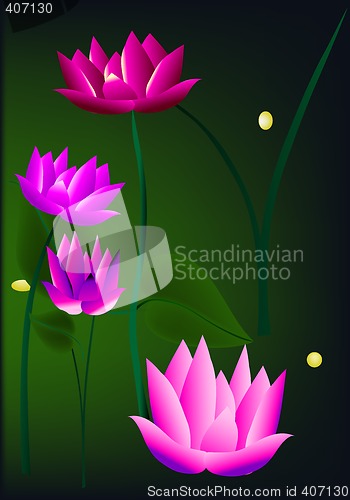 Image of roses