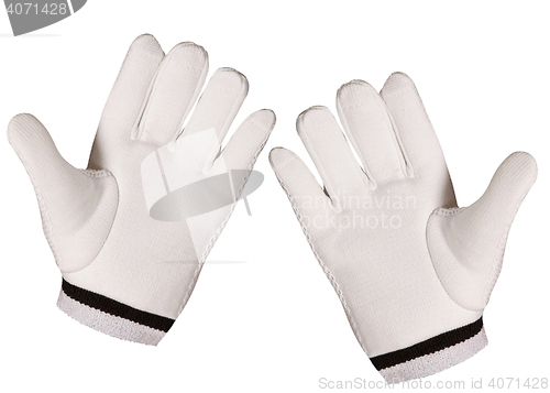Image of Golf Glove isolated on white