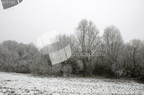 Image of Snow on trees