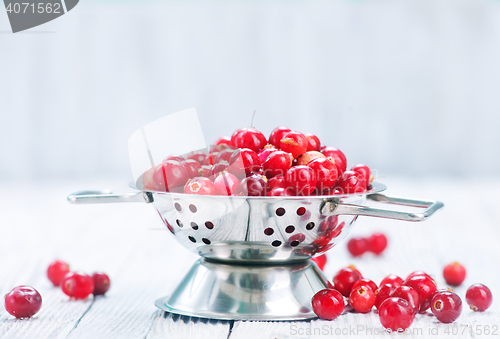 Image of fresh cranberry