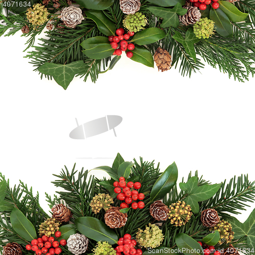Image of Winter Greenery and Holly Border 