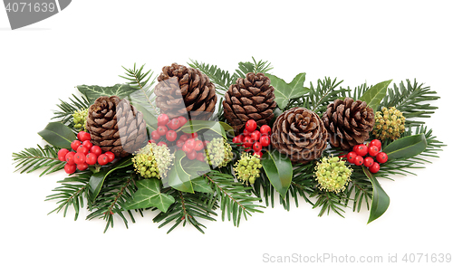 Image of Winter Flora and Christmas Decoration