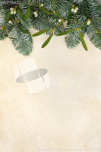 Image of Fir and Mistletoe Border