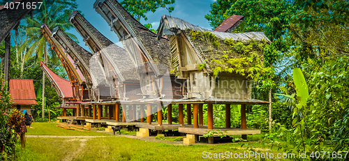 Image of Typical ancestral houses in Sangalla