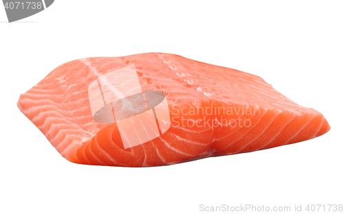 Image of Raw salmon fillet