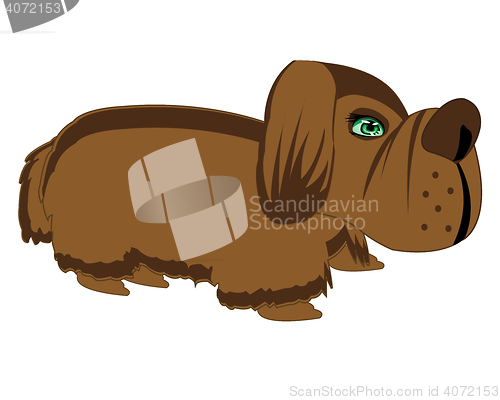 Image of Small dog on white background