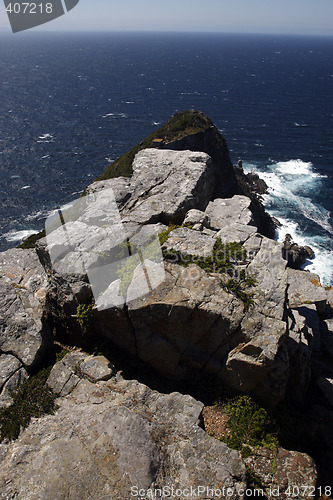 Image of overlooking cape point
