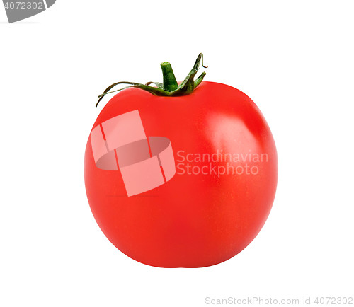 Image of one fresh red tomato isolated