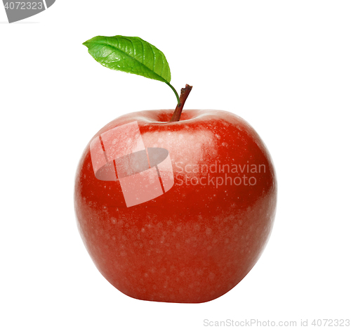 Image of Red apple
