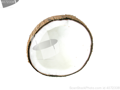 Image of Half of coconut closeup 