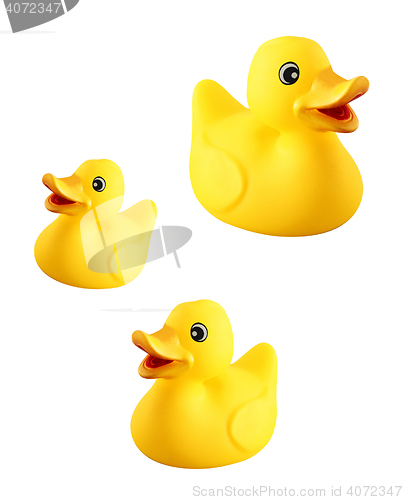 Image of Rubber ducks