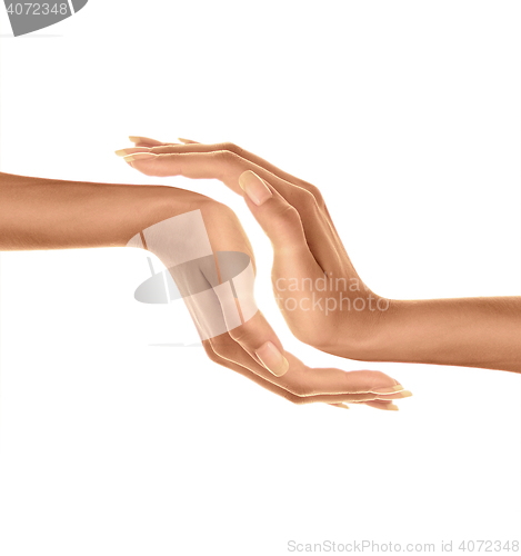Image of Beautiful woman\'s hands