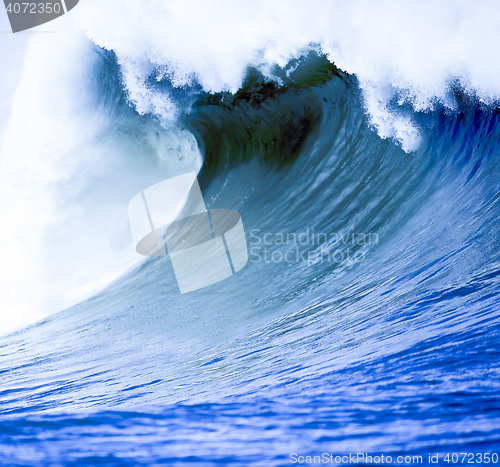 Image of Blue Ocean Wave