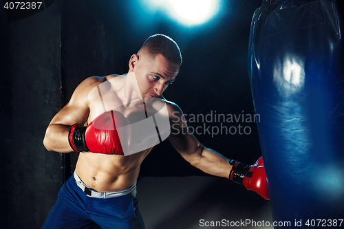 Image of Male boxer boxing in punching bag with dramatic edgy lighting in a dark studio