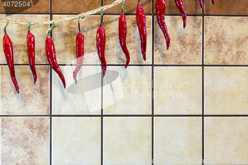 Image of Background with fake chili peppers installation