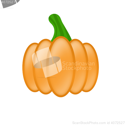 Image of Pumpkin on the white.Raster
