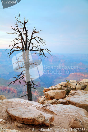 Image of Grand Canyon National Park overview