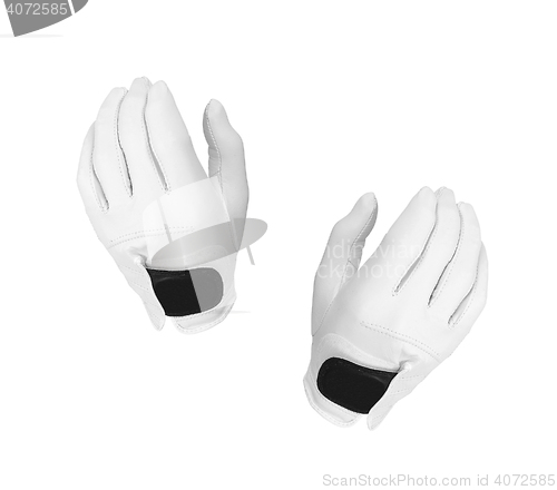 Image of Gloves isolated