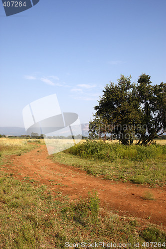 Image of dirt track