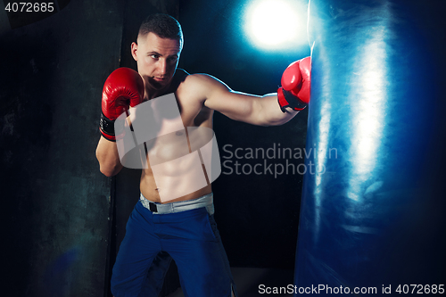 Image of Male boxer boxing in punching bag with dramatic edgy lighting in a dark studio