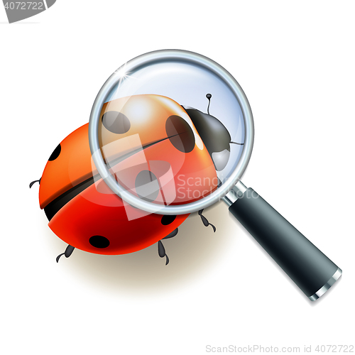 Image of Magnifying glass and Ladybird