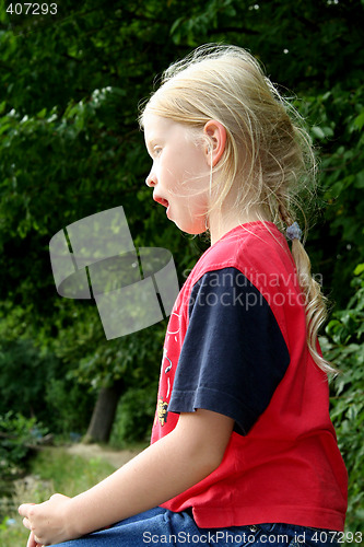 Image of Evening walk