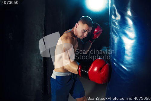 Image of Male boxer boxing in punching bag with dramatic edgy lighting in a dark studio