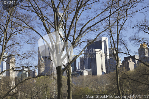 Image of Central Park, Manhattan Skyline, NYC, USA