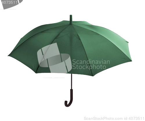 Image of green umbrella