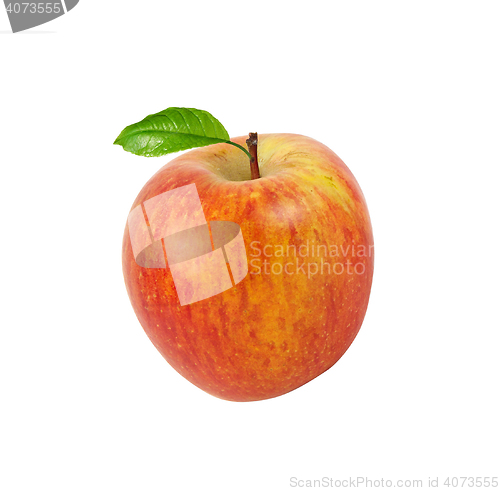 Image of Red apple with leaf