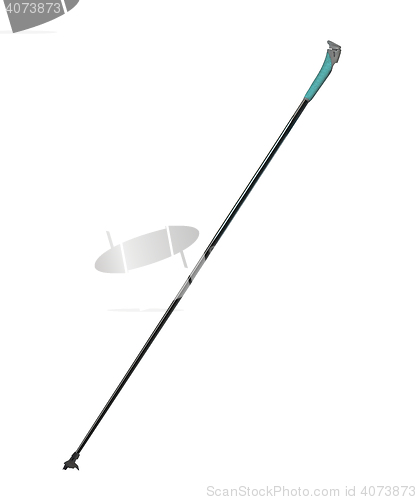 Image of Ski and hiking pole