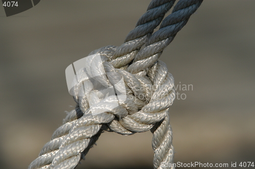 Image of Half hitch