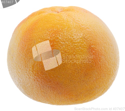 Image of Grapefruit