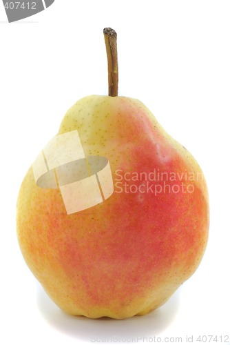 Image of Pear