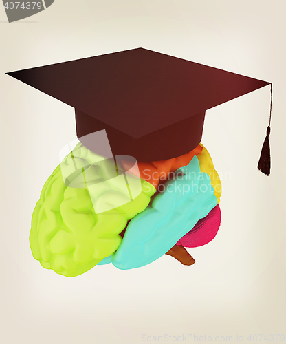 Image of graduation hat on brain. 3D illustration. Vintage style.