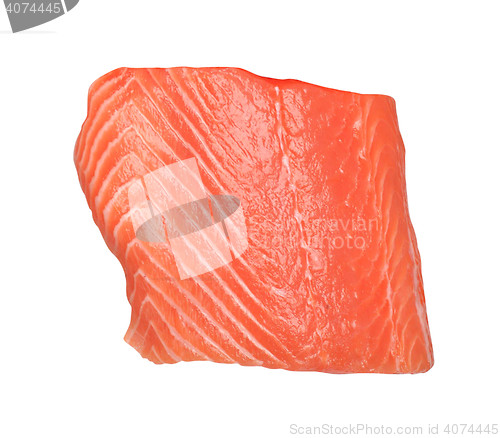 Image of fresh salmon fillet on white