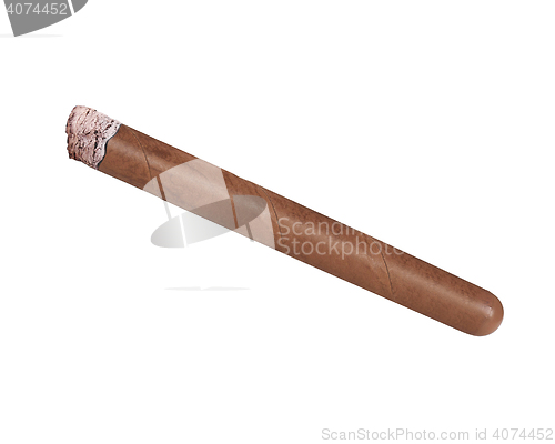 Image of cigar on white