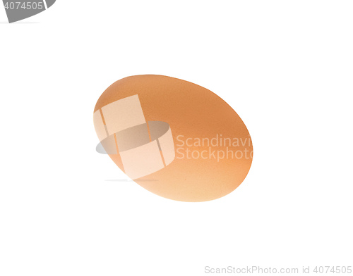 Image of Single brown chicken egg