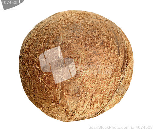Image of Coconut isolated on white