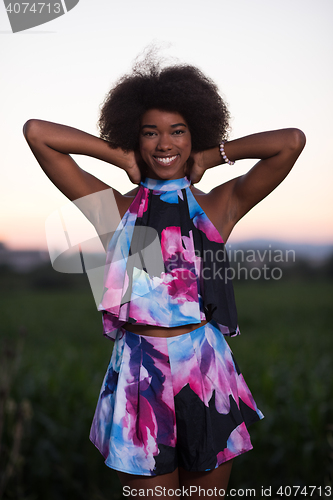 Image of portrait of a young African-American woman in a summer dress