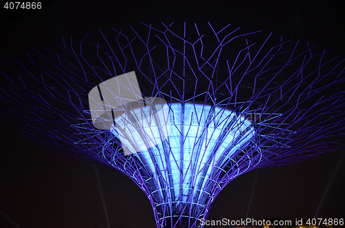 Image of Supertree Grove, Gardens by the Bay in Singapore