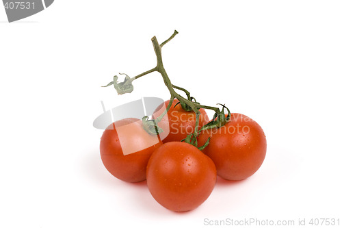 Image of bunch of tomatoes