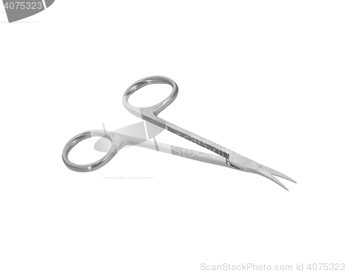 Image of Nail scissors